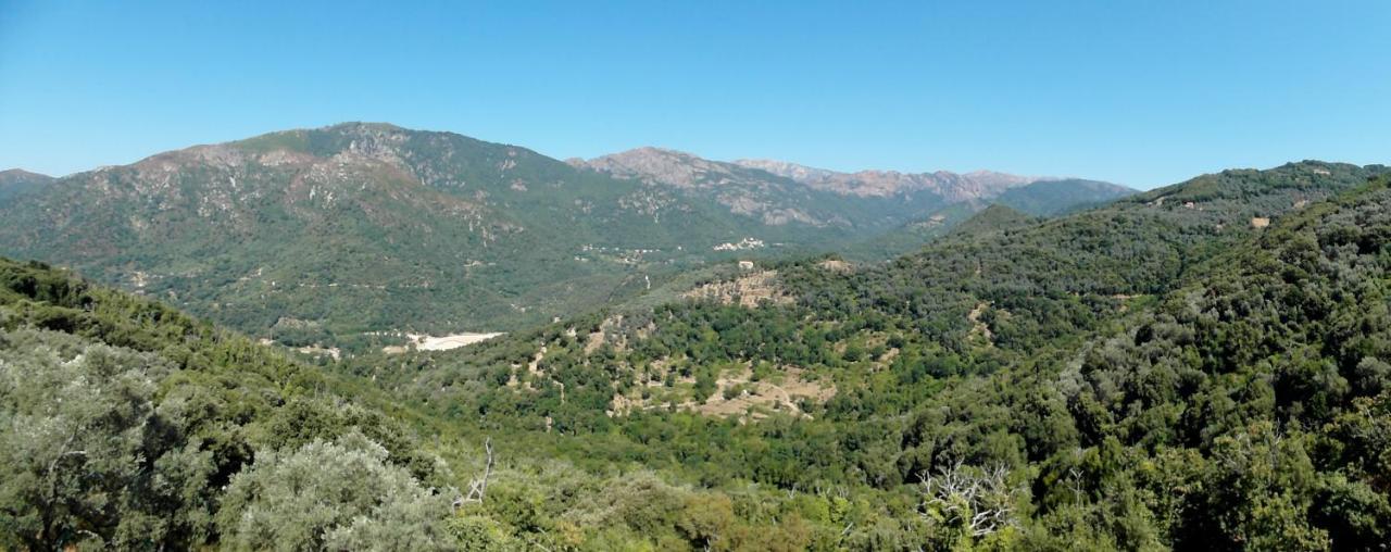 Casa Nepita Sur Vue Grandiose Διαμέρισμα Santa-Lucia-di-Tallano Εξωτερικό φωτογραφία