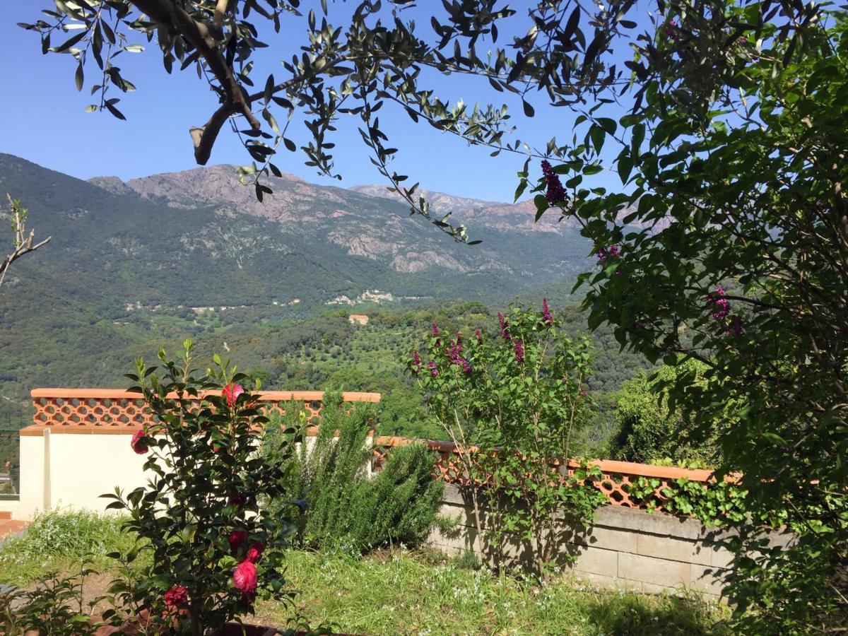 Casa Nepita Sur Vue Grandiose Διαμέρισμα Santa-Lucia-di-Tallano Εξωτερικό φωτογραφία